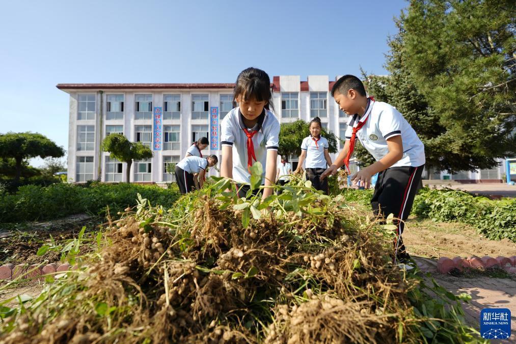 澳门澳博集团官网8448